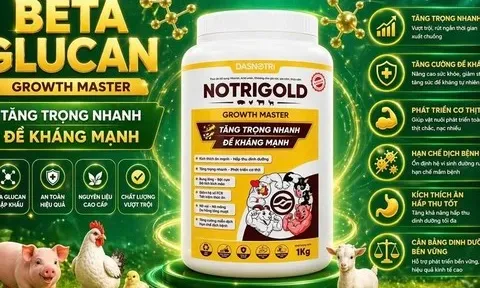 DASNOTRI - Giải pháp vàng cho chăn nuôi bền vững và hiệu quả