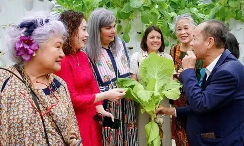 Nông nghiệp công nghệ cao: Luồng sinh khí mới trên mảnh đất di sản Chuyên Mỹ