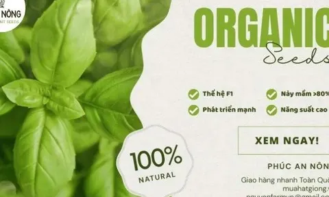Phát triển vùng canh tác bền vững: Phúc An Nông và vai trò của doanh nghiệp hạt giống trong chuỗi giá trị nông nghiệp hiện đại