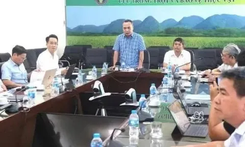 Triển khai phân cấp, phân quyền và cắt giảm thủ tục hành chính trong lĩnh vực trồng trọt, bảo vệ thực vật