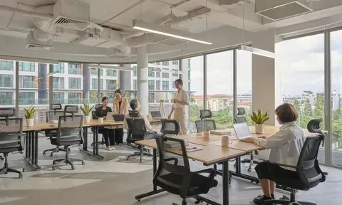 Thị trường văn phòng thích ứng để tồn tại
