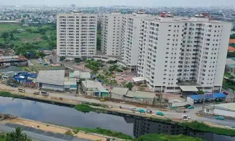 Gần 100.000 căn nhà cho thuê được doanh nghiệp đăng ký, vượt mục tiêu TP.HCM đặt ra