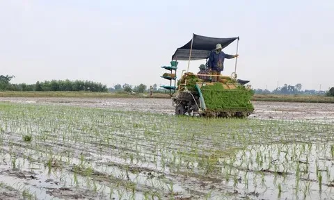 Nông dân Hà Tĩnh từng bước thay đổi phương thức sản xuất
