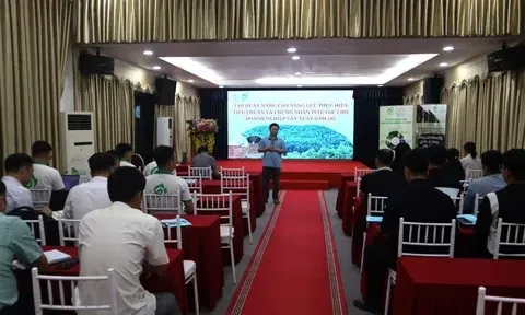 Bắc Ninh nâng cao năng lực truy xuất nguồn gốc cho doanh nghiệp sản xuất viên nén gỗ
