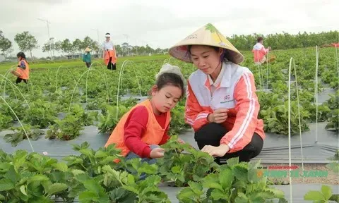 Khi công nghệ mở đường cho nông nghiệp xanh