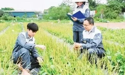 Sớm xây dựng quy trình chuẩn hóa chất lượng dược liệu