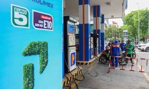 Nghị quyết 29/NQ-CP tháo gỡ nhiều nút thắt cho doanh nghiệp khi triển khai xăng E10