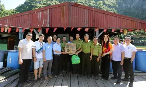 Tạp chí Doanh nghiệp và Kinh tế xanh đồng hành cùng công tác quản lý, bảo vệ rừng