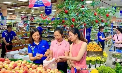 Tăng cường “lá chắn” an toàn thực phẩm
