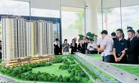 “Giãi bày” chuyện nhà cho thuê