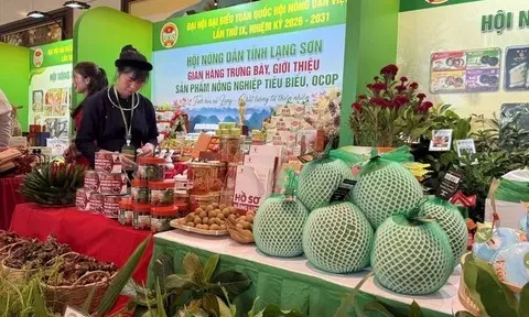 Giảm chi phí thể chế, tăng sức cạnh tranh cho nông nghiệp Việt