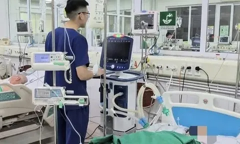 Khuyến cáo người cao tuổi và người có bệnh lý nền khi sốt xuất huyết gia tăng