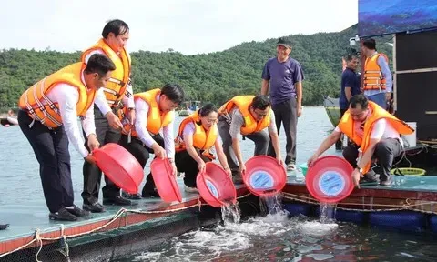Cú hích" mang tính chiến lược, mở đường cho phương thức nuôi biển ứng dụng công nghệ cao tại Quảng Ninh