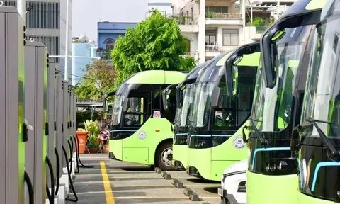 TP.HCM miễn phí xe buýt, gần 1,9 triệu lượt khách sau 10 ngày