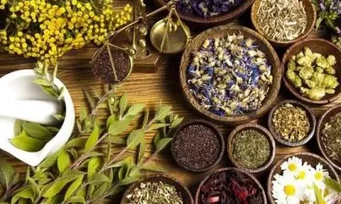 Phát huy vai trò của y học cổ truyền trong chăm sóc, nâng cao sức khỏe Nhân dân