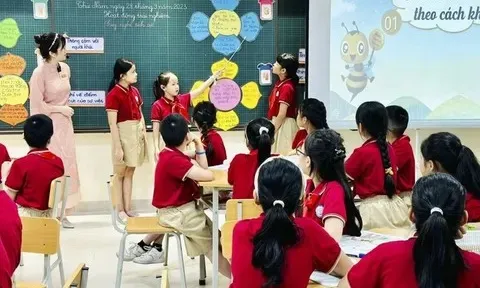 Danh mục các loại hình, quy mô, tiêu chuẩn của cơ sở thực hiện xã hội hóa trong lĩnh vực giáo dục
