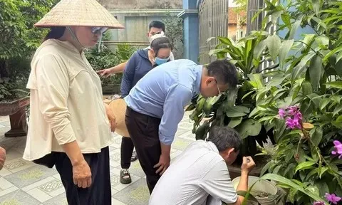 Hà Nội: Dịch sốt xuất huyết có xu hướng gia tăng