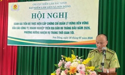 Bắc Ninh xây dựng "hộ chiếu xanh" cho hơn 25.000 ha rừng