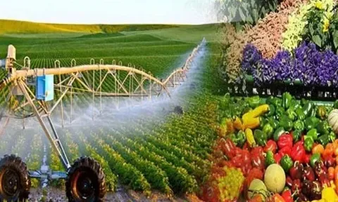 Suy ngẫm về chiến lược phát triển nông thôn trong điều kiện mới: Kinh nghiệm của Mỹ, Hàn Quốc, Nhật Bản và gợi ý cho Việt Nam