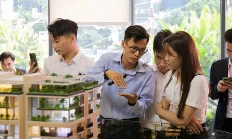 Phân khúc bất động sản nào đang giữ “phong độ” tốt nhất thị trường?