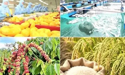 Giảm phát thải: 'Giấy thông hành' cho nông sản xuất khẩu