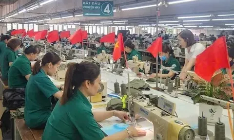 Chính sách vi mô cho tăng trưởng 2 con số: Đột phá từ nội lực doanh nghiệp Việt Nam