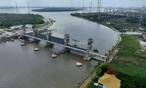 TP.HCM xây dựng bộ chỉ số giám sát thích ứng biến đổi khí hậu trên toàn địa bàn