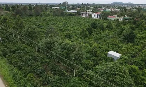 Đắk Lắk: Ban hành quy định diện tích xây dựng công trình trên đất nông nghiệp
