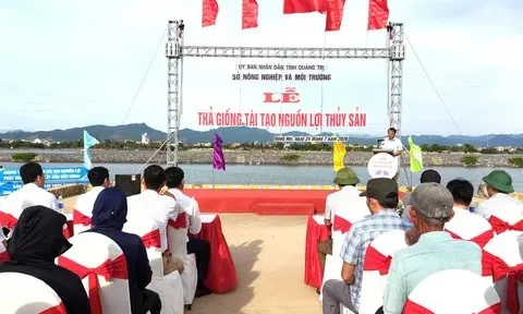 Quảng Trị: Thả 1 triệu con tôm sú giống tái tạo nguồn lợi thủy sản