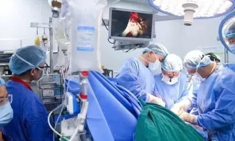 Hình thành hệ sinh thái y tế chuyên sâu quốc gia