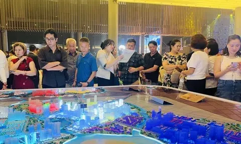 Doanh nghiệp địa ốc “hãm phanh”