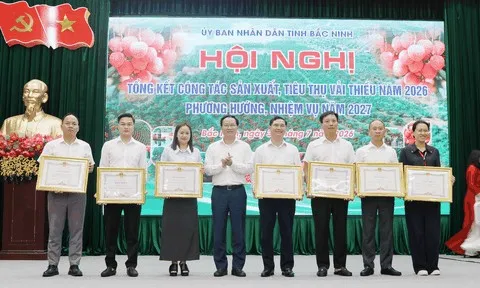 Vải thiều Bắc Ninh lập kỷ lục về giá trị kinh tế, hướng tới vụ mùa bền vững năm 2027