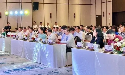 Cần Thơ tìm giải pháp bứt phá, nâng cao Chỉ số Đổi mới sáng tạo (PII) giai đoạn 2026 – 2030
