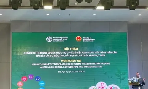 Gợi ý các ưu tiên về đất và nước trong chuyển đổi hệ thống lương thực, thực phẩm của Việt Nam theo FAO Roadmap