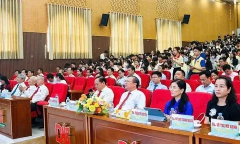 Đại học Nam Cần Thơ ra mắt Viện Nghiên cứu Robot & Trí tuệ nhân tạo DNC