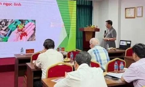 Thúc đẩy các giải pháp phát triển dược liệu tại Việt Nam