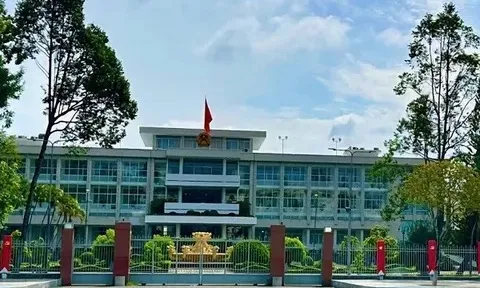Cần Thơ yêu cầu siết kỷ luật, kỷ cương, nâng cao trách nhiệm người đứng đầu