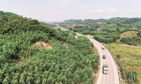 Xã Tam Tiến: Nâng giá trị rừng từ những mắt xích của nền kinh tế lâm nghiệp