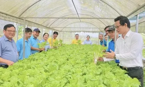 Hạ tầng tri thức và không gian học hỏi: Từ chuyển giao kỹ thuật đến đồng sáng tạo trong nông nghiệp sinh thái tại Đồng bằng sông Hồng