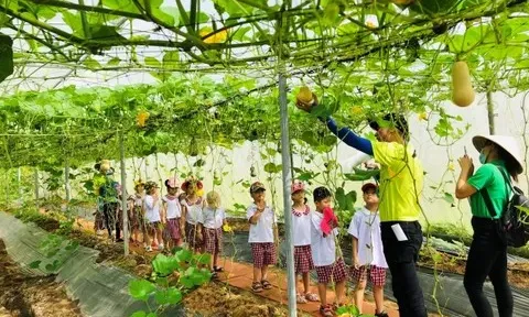 Định hướng thúc đẩy các mô hình sản xuất nông nghiệp sinh thái và ưu tiên đầu tư chiến lược tại Đồng bằng sông Hồng