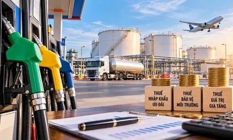 Chính phủ kéo dài chính sách thuế đối với xăng, dầu đến hết năm 2026