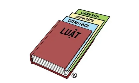 Nhiều chính sách mới có hiệu lực từ tháng 10/2026