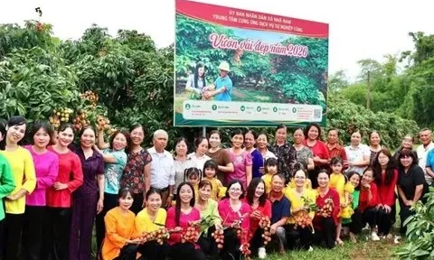 CHỨNG NHẬN CHỈ DẪN ĐỊA LÍ “TÂN YÊN” - ĐÒN BẨY NÂNG TẦM ĐẶC SẢN VẢI CHÍN SỚM BẮC NINH