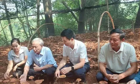 Nhà khoa học Nguyễn Tiến Ky: Bám sát công nghệ, lấy đổi mới sáng tạo làm động lực