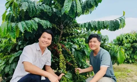Thoát khỏi vòng xoáy "được mùa mất giá": Lời giải nào cho nông sản Việt?