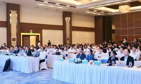Hội nghị Tim mạch Quốc tế 2026: Diễn đàn chuyên môn quy mô lớn tại ĐBSCL